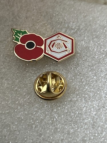 Arsenal supporter enamel badge - supporter,